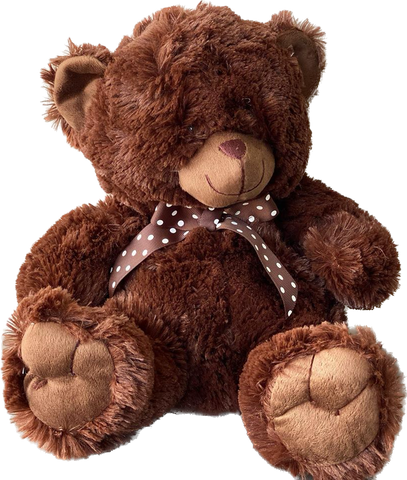 T2: Chocolate Teddy bear 30cm