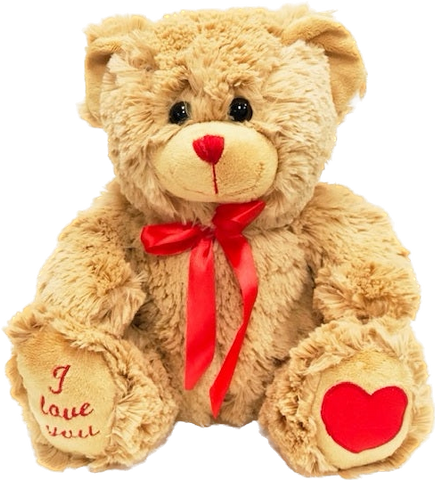 T5: ROMEO TEDDY BEAR 28CM