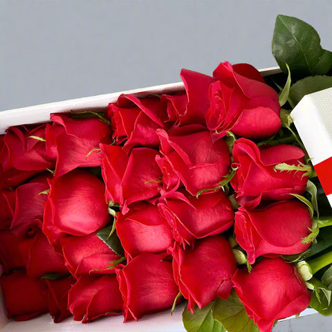 FF8: Valentine Surprise