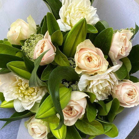 BA1: Simply Stunning