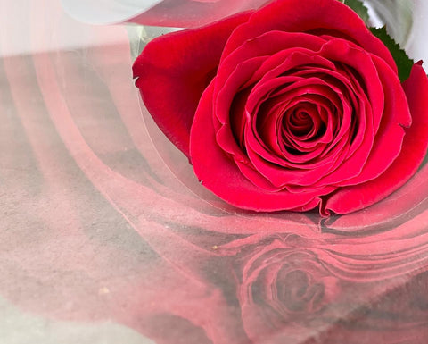 FH5: Single Red Rose